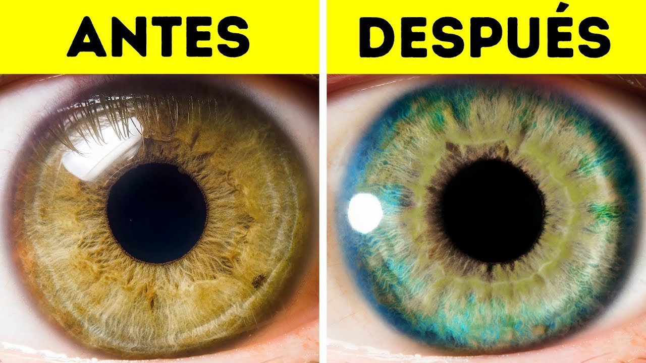 ¿Qué colores aclaran los ojos?