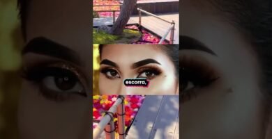 curiosidades que no sabías sobre primer facial