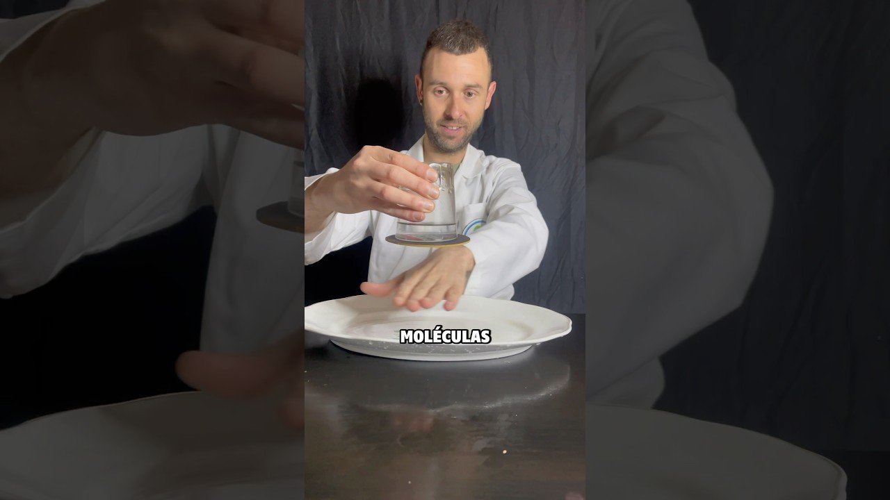 datos interesantes de base líquida